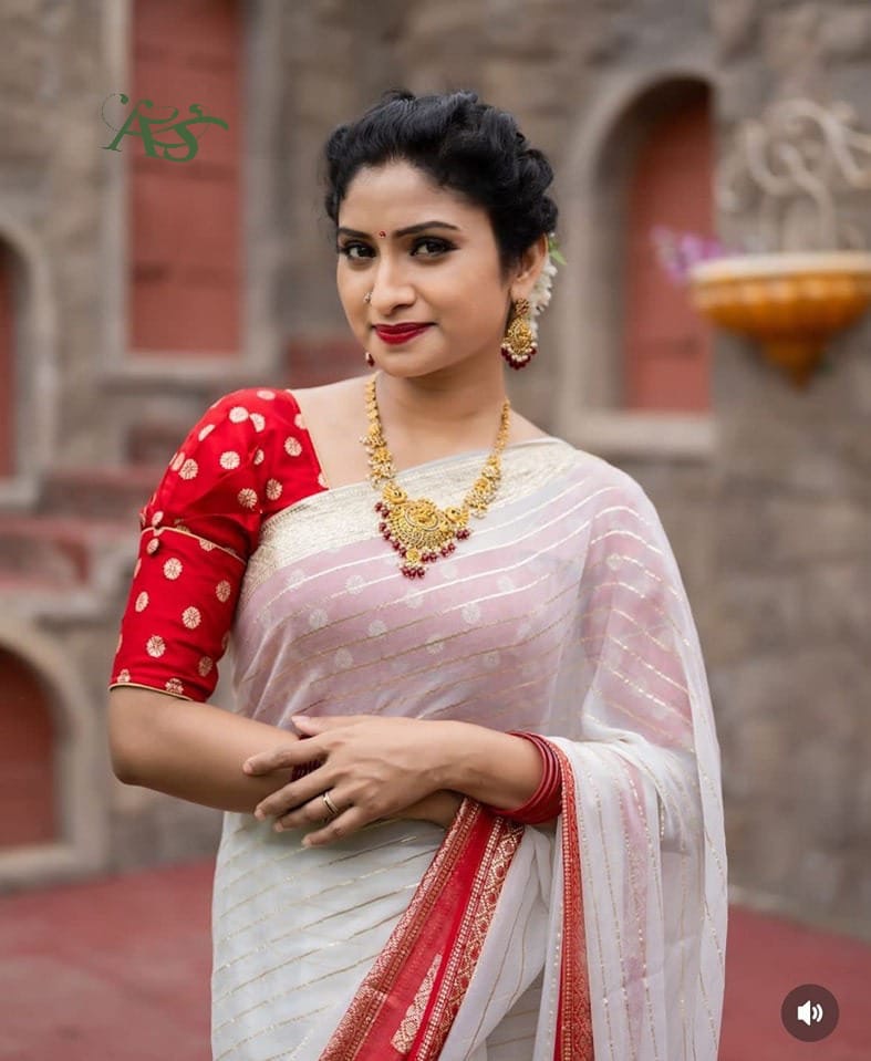 Beautiful designer geogrette saree