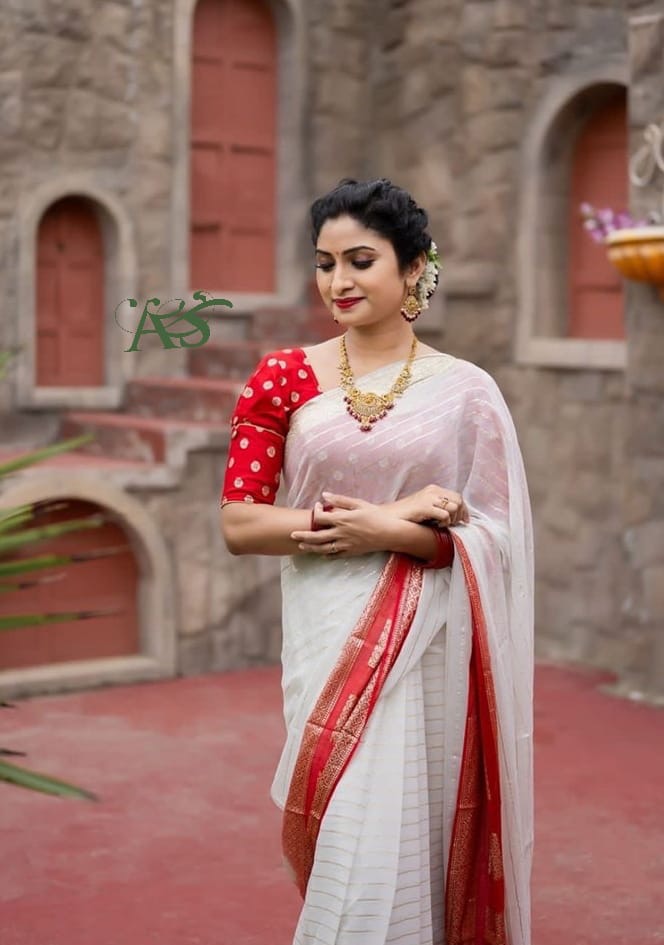 Beautiful designer geogrette saree