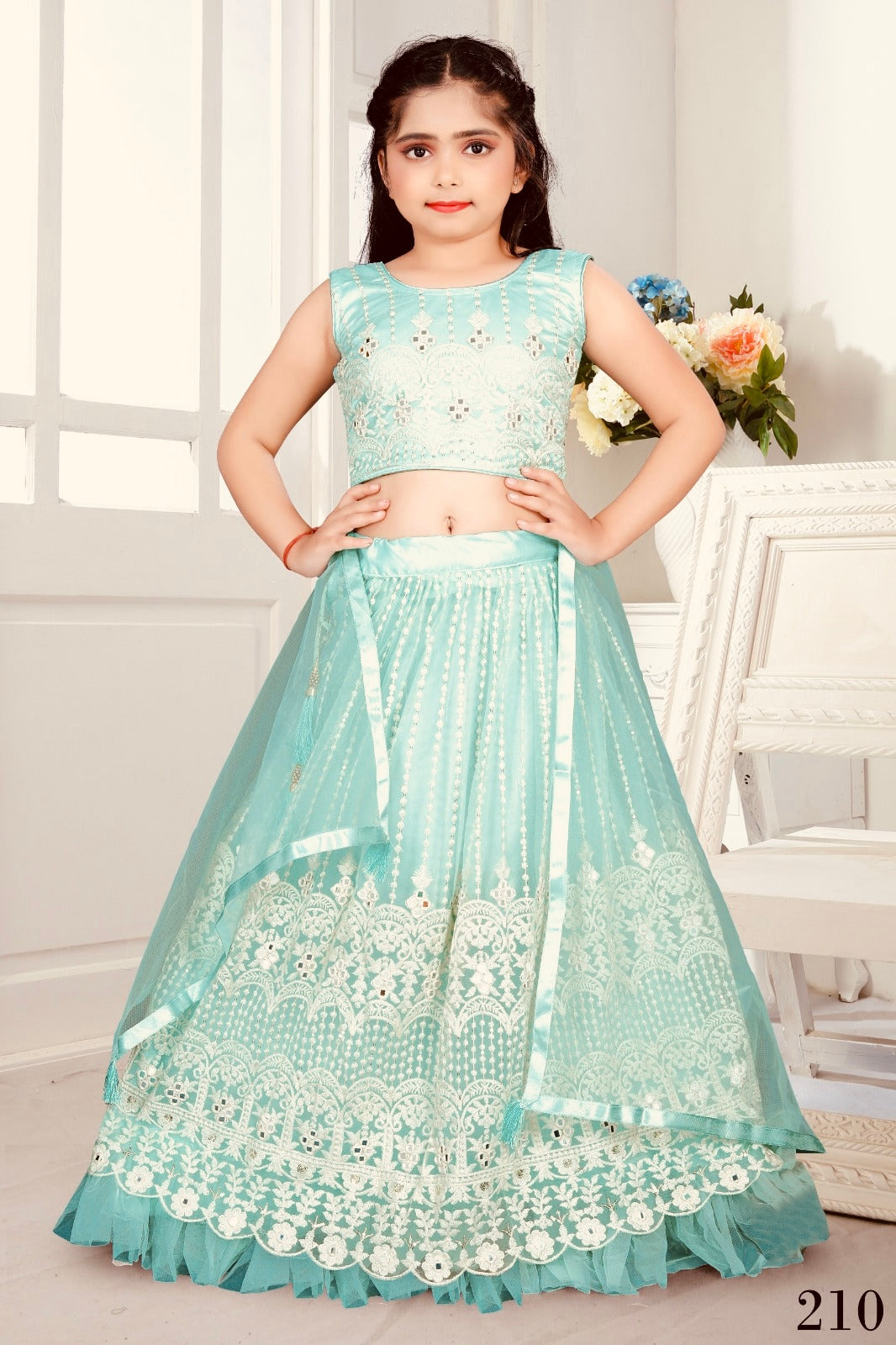 Beautiful designer lucknowi embroidery lengha choli