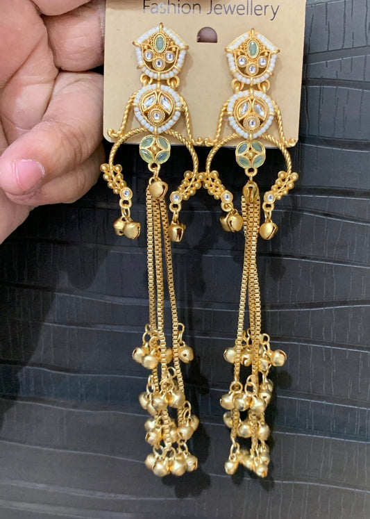 Beautiful designer Kashmiri earrings
