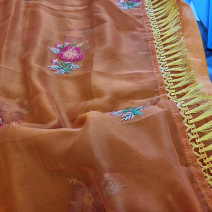 Beautiful designer saree