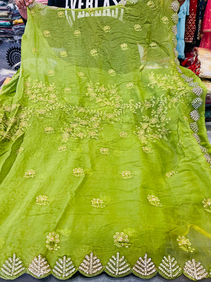 Beautiful designer lucknowi embroidery saree