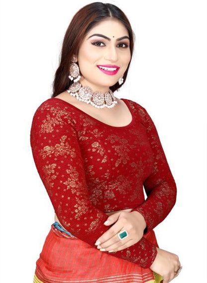 Beautiful designer long sleeves stretchable blouse