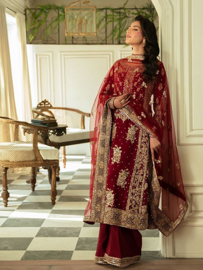 Beautiful designer plazo suit