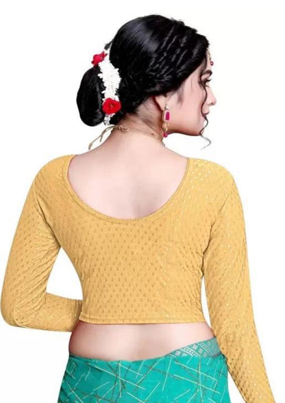 Beautiful designer long sleeves stretchable blouse