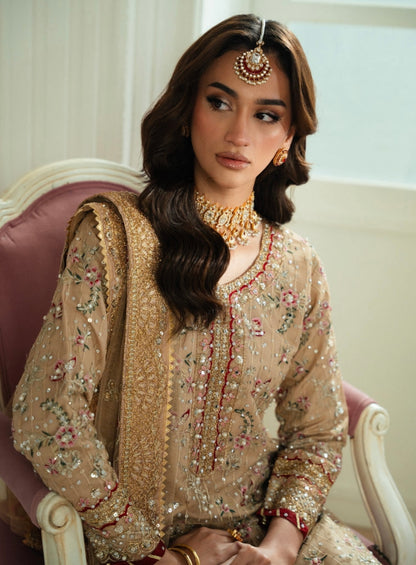 Beautiful designer plazo suit