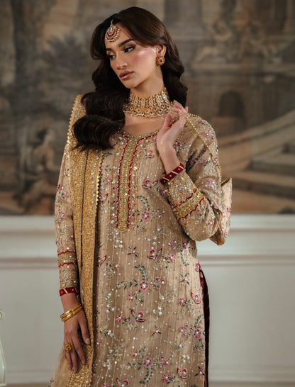 Beautiful designer plazo suit