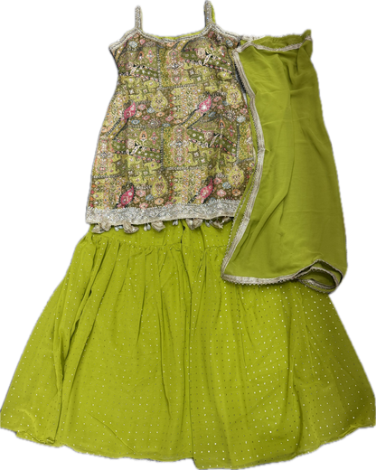 Beautiful designer sharara suit