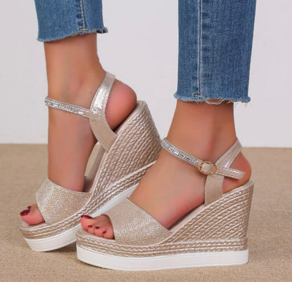 Beautiful designer wedges