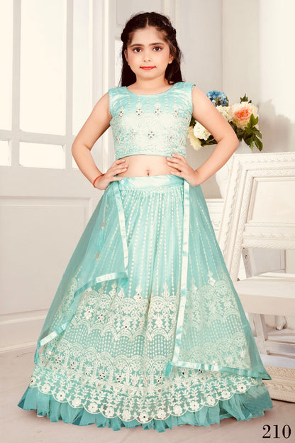 Beautiful designer lucknowi embroidery lengha choli