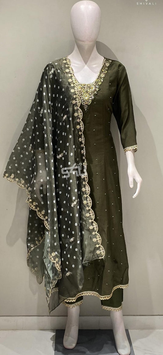 Beautiful designer Pakistani style suit