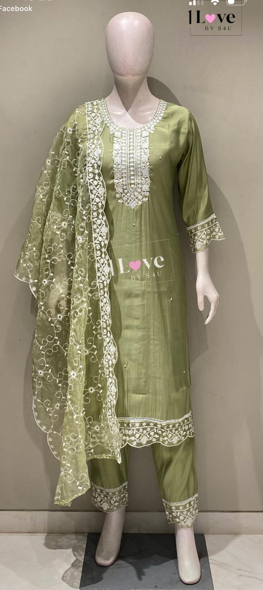 Beautiful designer Pakistani style suit