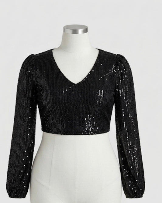 Beautiful designer fully Embroidery sequins blouse