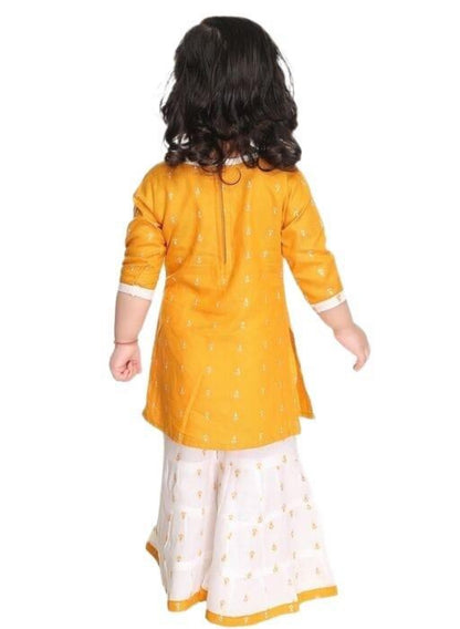 Beautiful designer 2 piece sharara suit