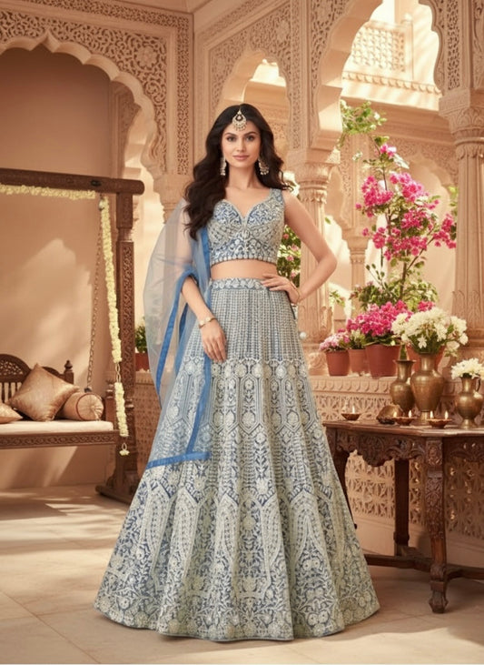 Beautiful designer lengha choli