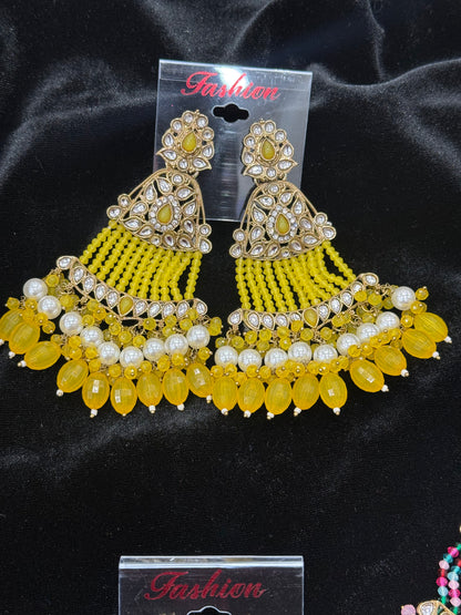 Beautiful designer earrings