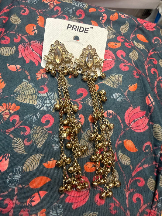 Beautiful designer Kashmiri earrings