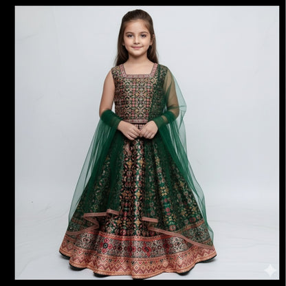 Beautiful designer lengha choli for girls