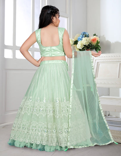 Beautiful designer lucknowi embroidery lengha choli