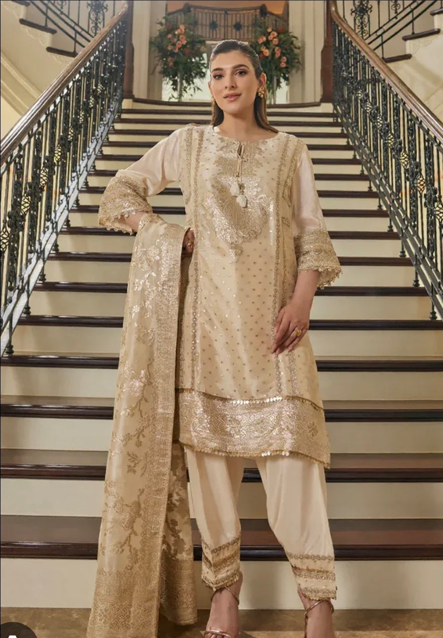 Beautiful designer Pakistani style suit