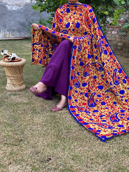 Beautiful designer fully embroidery dupptta