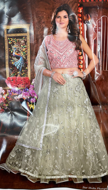 Beautiful designer lengha choli